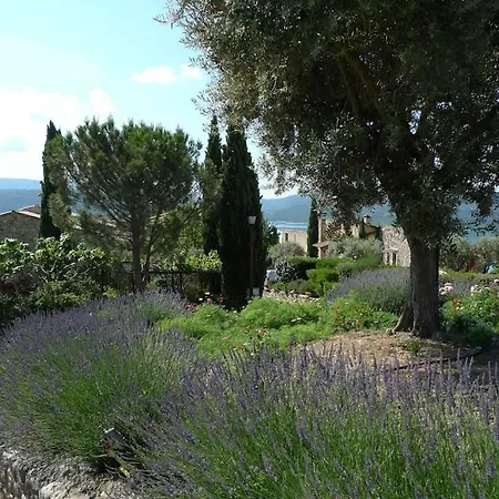 Lou Marcelou - Two *